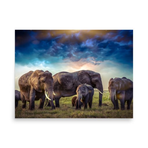 Elephants in Nature with Cloudy Sky Regular Poster - Image 7