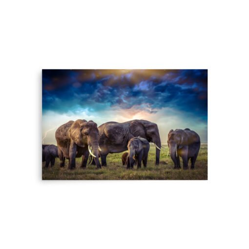 Elephants in Nature with Cloudy Sky Regular Poster - Image 8