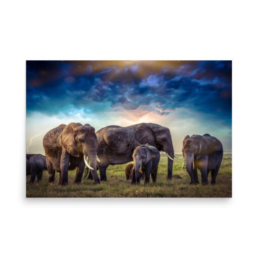 Elephants in Nature with Cloudy Sky Regular Poster - Image 9