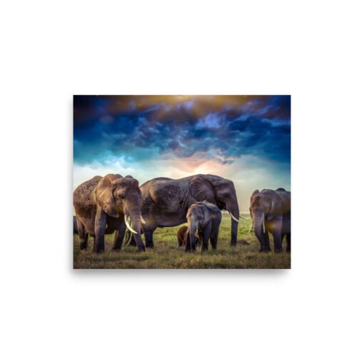 Elephants in Nature with Cloudy Sky Regular Poster - Image 11