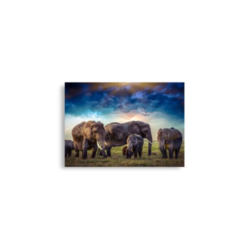 Elephants in Nature with Cloudy Sky Regular Poster - Image 3