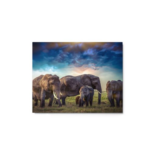 Elephants in Nature with Cloudy Sky Glossy Metal Prints - Image 2