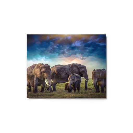 Elephants in Nature with Cloudy Sky Glossy Metal Prints